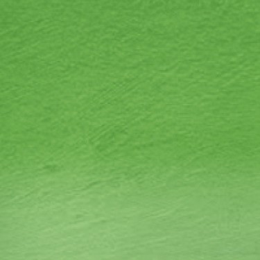 PROCOLOUR FOLIAGE 